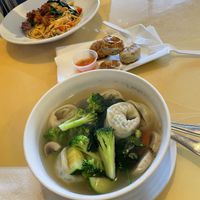 Wonton soup, potstickers, and linguini.   at Vegan Tree in Matawan