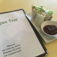 Summer rolls  at Vegan Tree in Matawan