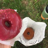 berry and cinnamon sugar donuts at Union Square Donuts in Somerville