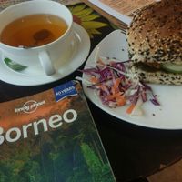 Vegan burger and green tea at Indah Cafe in Kuching