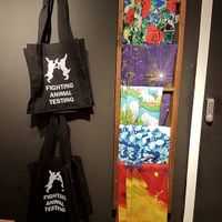 fighting animal testing bags at LUSH in Maastricht