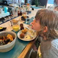 Delicious falafel    at Mahalo in Panama City