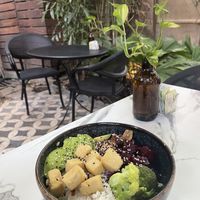 Vegan tofu bowl  at Mahalo in Panama City