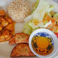 Orange 'chicken' - lunch special at Vegan House in Los Angeles