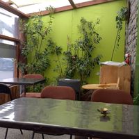 Covered outside area at Beetroot Healthy Food and Veggie Island in Maynooth