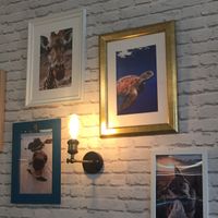 Décor  at Green Love in Marseille