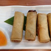 spring rolls at Brown Grain Thai Restaurant in Ballarat