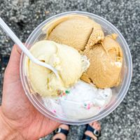 Four different vegan flavors  at Boombalatti's Ice Cream in Wilmington
