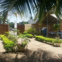 Garden at Noble Veg in Lome