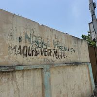   at Noble Veg in Lome
