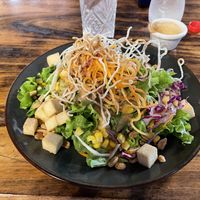 Tofu salad   at El Jardin in Puerto Ayora