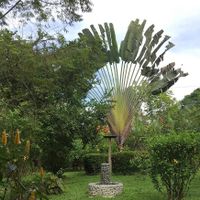 View from the breakfast porch at El Mono Feliz in Ojochal De Osa