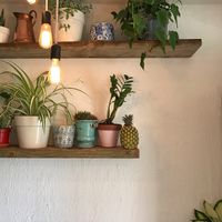 Cafe decor at Nourish'd Cafe & Juicery - Kloof in Cape Town