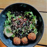 Falafel salad at Warzywniak in Poznan