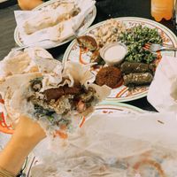 Falafel wrap  at Cedars Grill in St Petersburg