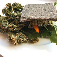 Signature LBC Under The Sun sandwich  at Under the Sun Cafe in Long Beach