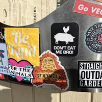   at Chef Tanya's Kitchen in Palm Springs