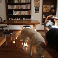 Sabu chan is so friendly  at Nabana in Amagasaki