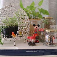 Beautiful devour  at Nabana in Amagasaki