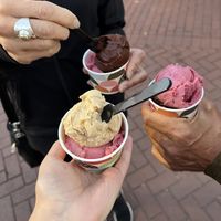all vegan!!! fall specials cranberry & maple spice at Gelato Boy - Pearl in Boulder