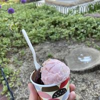 vegan gelato  at Gelato Boy - Pearl in Boulder