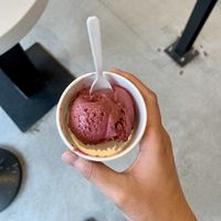 BlackBerry Lavender (Non-Dairy) at Gelato Boy - Pearl in Boulder