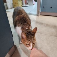  at HiPizza in Taipei