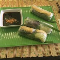 Vietnamese rice paper rolls (vegan) at Pho3mien in Hannover