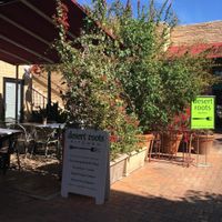 outside courtyard at Desert Roots Kitchen in Tempe