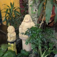  at Metta Vegetarian in Ho Chi Minh City