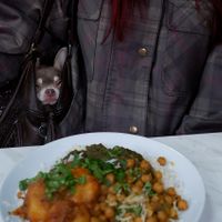   at Little Aladdin in Manchester