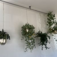   at The Daily Harvest Cafe & Juicery in Santa Clarita