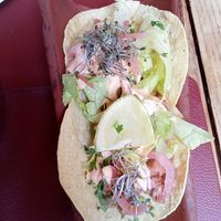 Tacos rellenos de jackfruit at Andino Gastrobar in Malaga