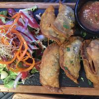 best empanadas ever!! clearly labeled as vegan! at Andino Gastrobar in Malaga