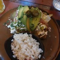 Vegan Enchiladas at Andino Gastrobar in Malaga