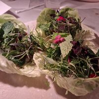 Avocado lettuce cups at abcV in New York City