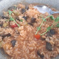 Vegan risotto at Ombra Restaurant in Kotor