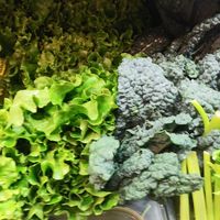  at Red Barn Natural Grocery in Eugene