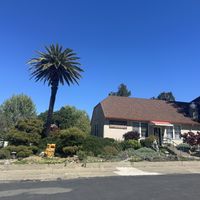 From the outside   at Jyun Kang Vegetarian Restaurant in Ukiah