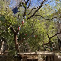 outside  at ChocolaTree Organic Oasis in Sedona