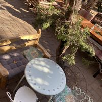 outdoor seating  at ChocolaTree Organic Oasis in Sedona