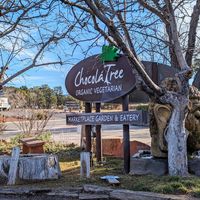 Yum factor 10. at ChocolaTree Organic Oasis in Sedona