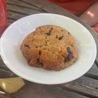   at ChocolaTree Organic Oasis in Sedona