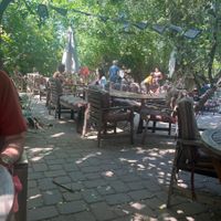   at ChocolaTree Organic Oasis in Sedona