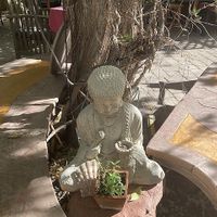 Courtyard  at ChocolaTree Organic Oasis in Sedona