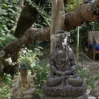Courtyard at ChocolaTree Organic Oasis in Sedona