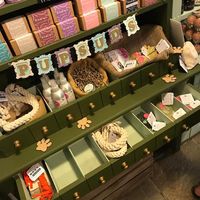 Now selling a range of vegan, cruelty free and 100% natural dog grooming products in store by Pup Suds (Which was recently featured in Vogue magazine). at Austens of Rochester in Rochester