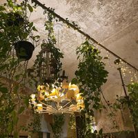   at L'OV Osteria Vegetariana in Florence