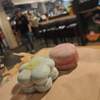 Macrons at Veg Machine in Tallinn