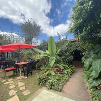 Shared garden at Loving Hut - San Cristobal in San Cristobal De Las Casas
